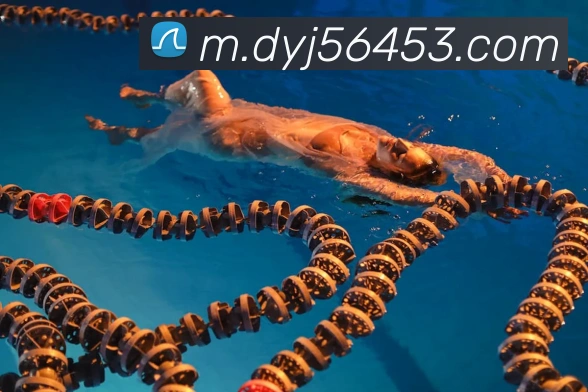 辅助工具 辅助工具